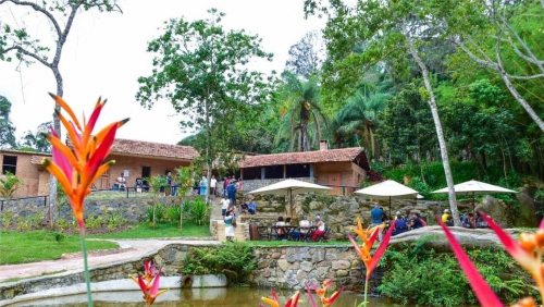 Parque Fazenda da Luz, em Paty, recebe alunos do Colégio Cruzeiro (RJ) para apresentações de música e teatro